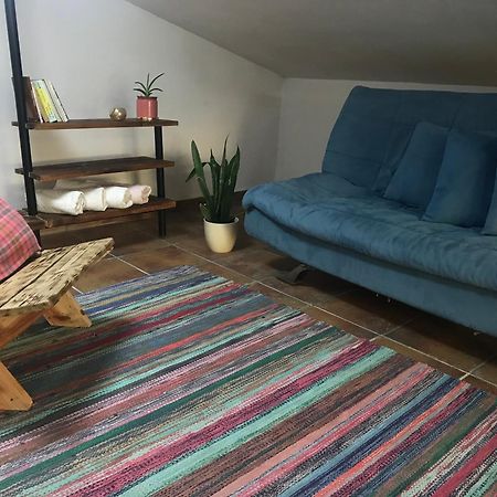 Cozy Big Apartment With Balcony Tirana Zewnętrze zdjęcie