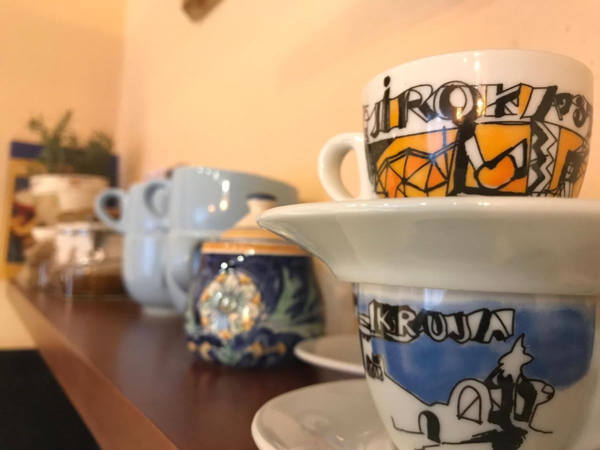 Cozy Big Apartment With Balcony Tirana Zewnętrze zdjęcie
