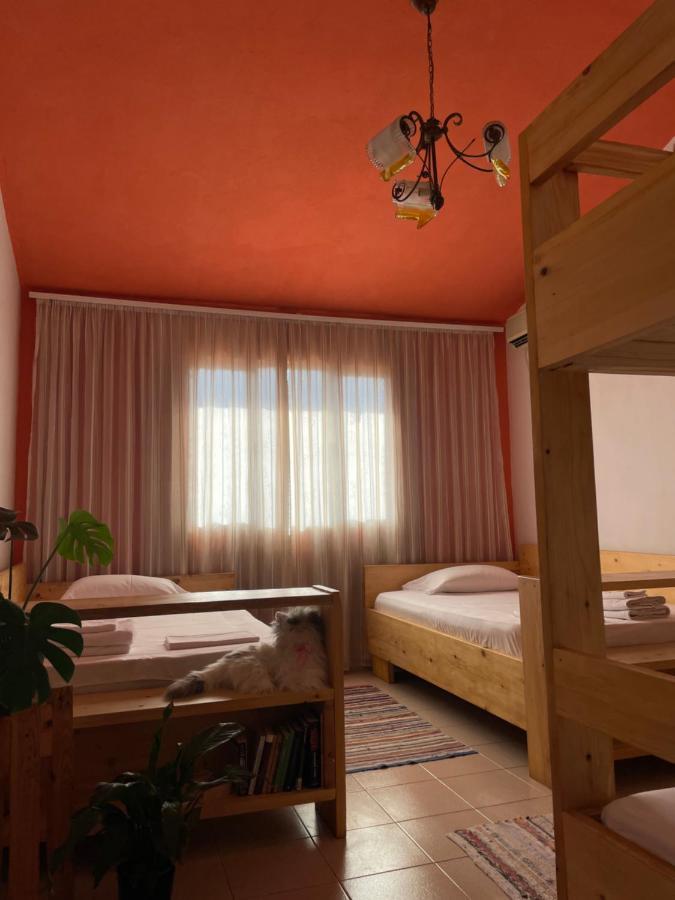 Cozy Big Apartment With Balcony Tirana Zewnętrze zdjęcie