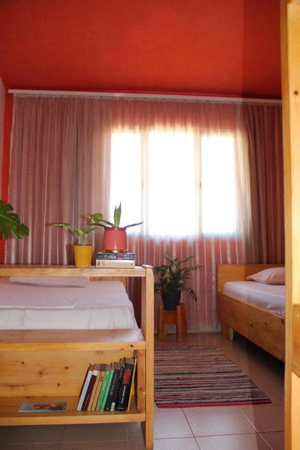Cozy Big Apartment With Balcony Tirana Zewnętrze zdjęcie