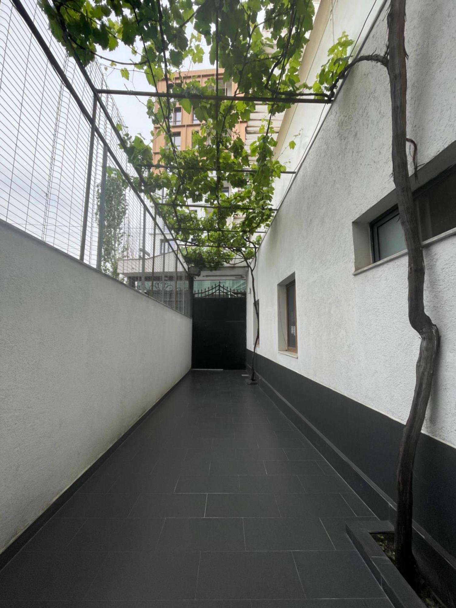Cozy Big Apartment With Balcony Tirana Zewnętrze zdjęcie